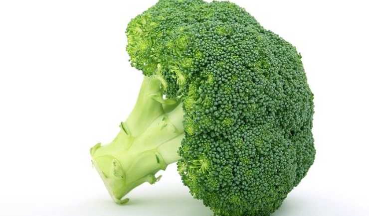 broccoli