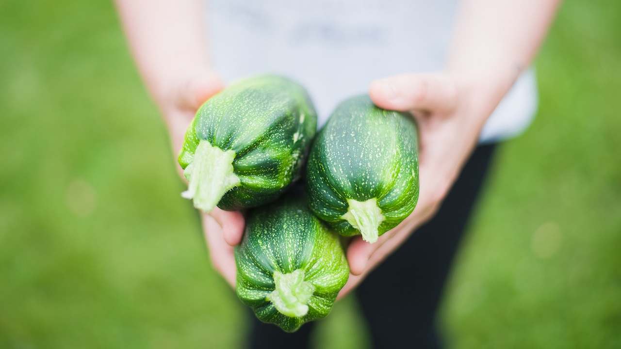 Zucchine sott'olio