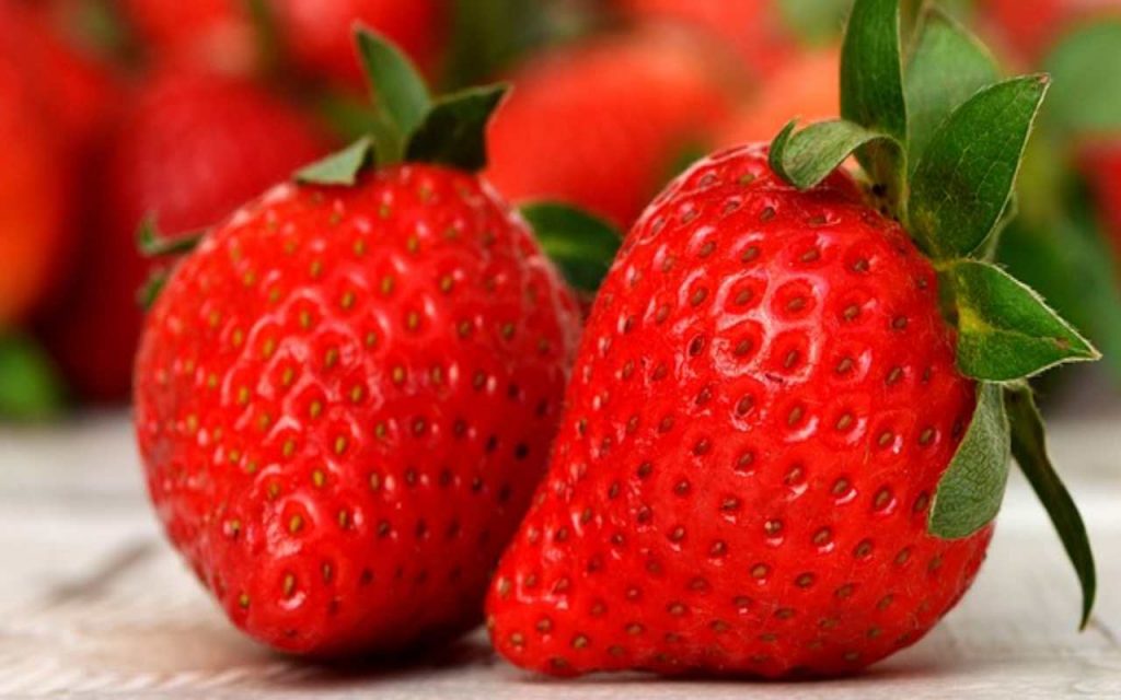 Fragole