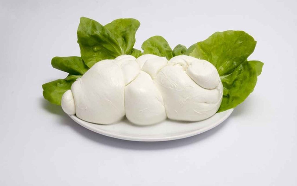 mozzarella