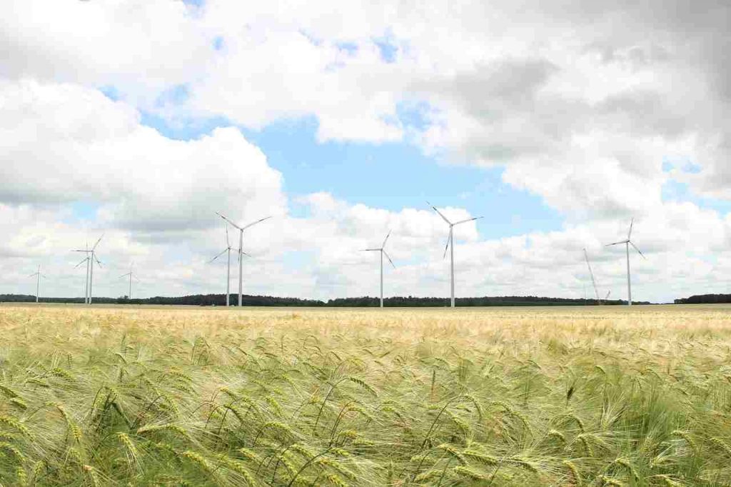 Il cibo che rischia di sparire