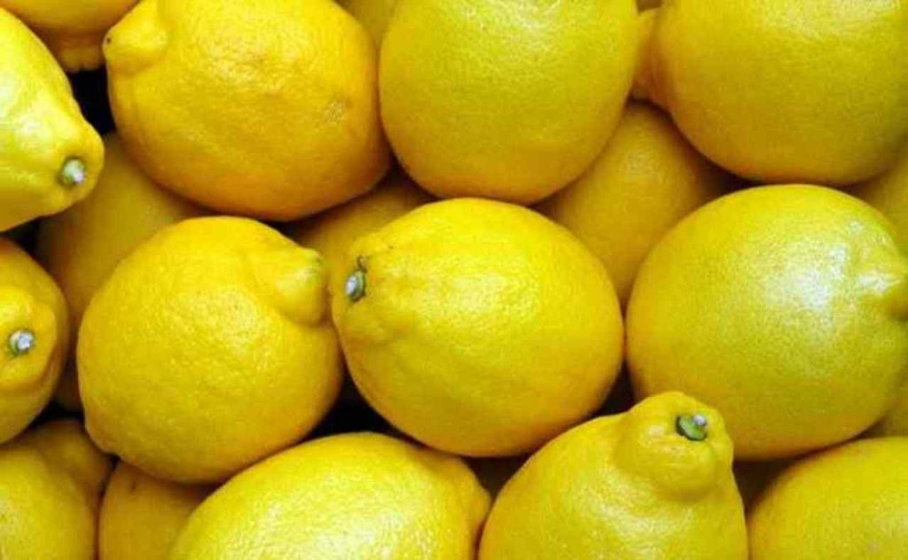 Limoni