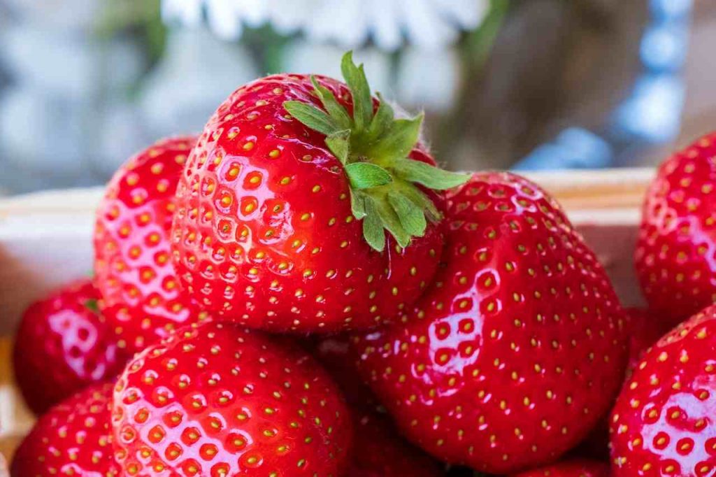 fragole dessert