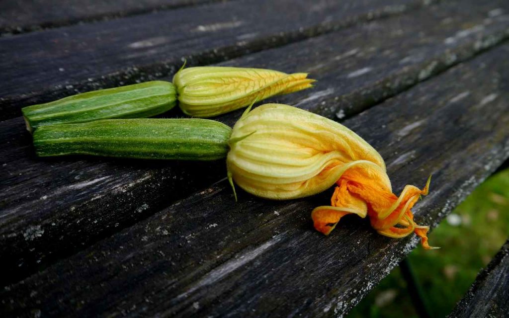 Zucchine fiori di zucca