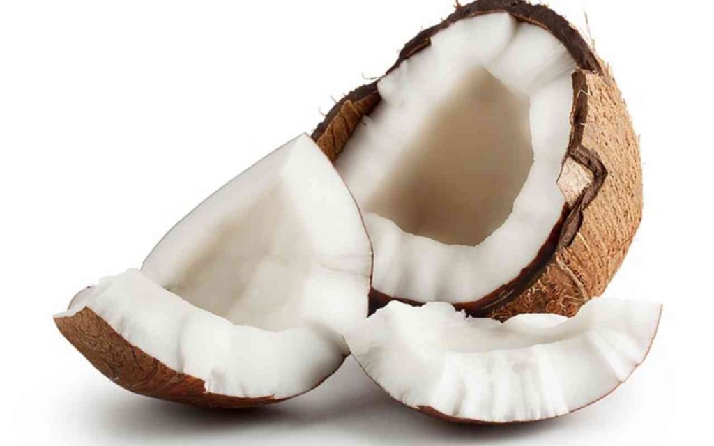 cocco