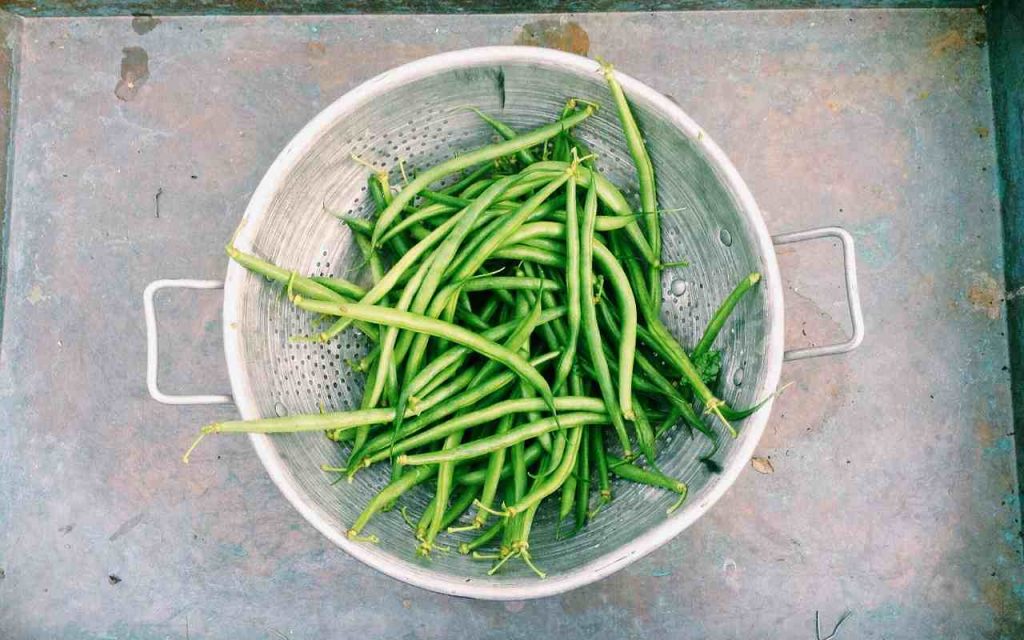 Aggiungi ingrediente fagiolini