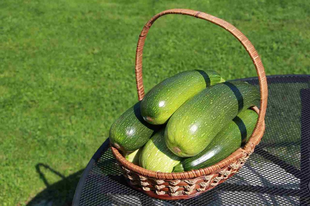 grattugia le zucchine