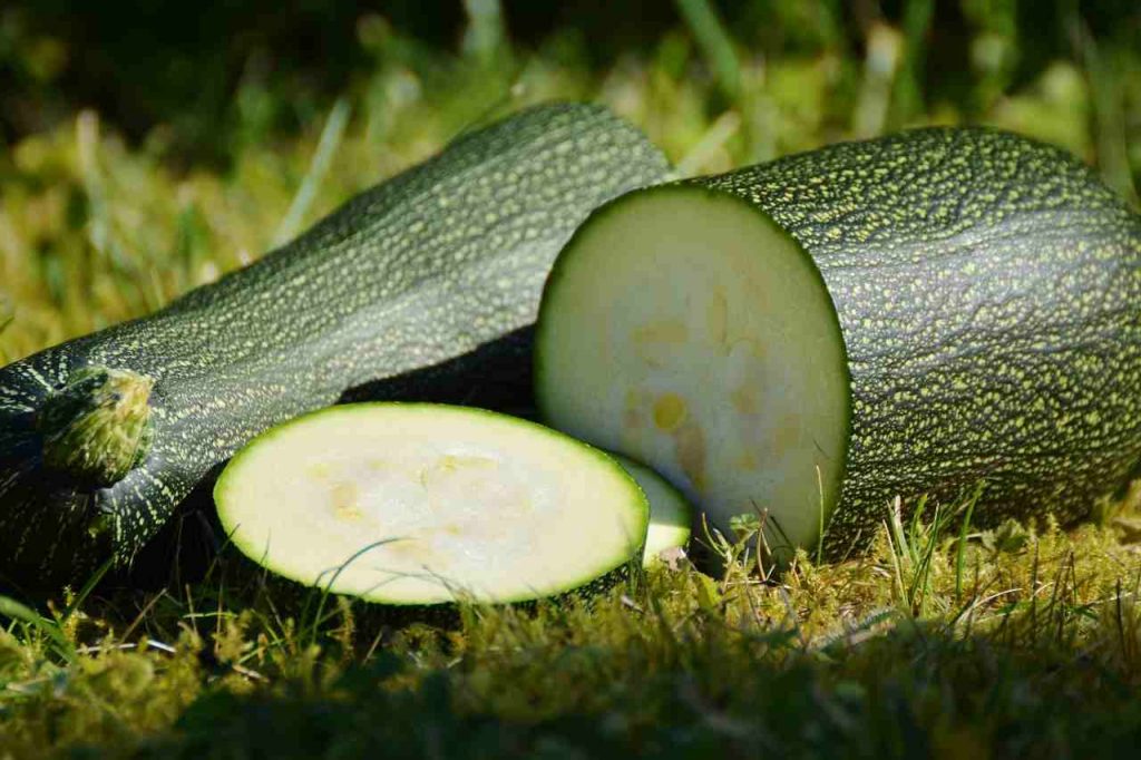 zucchine torta