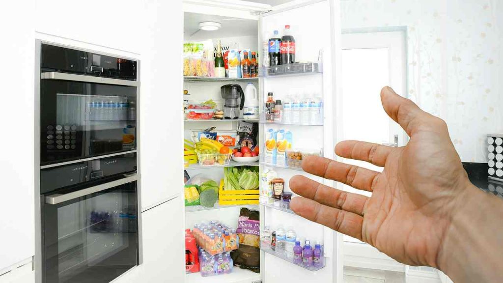 Alimenti sistemano frigo