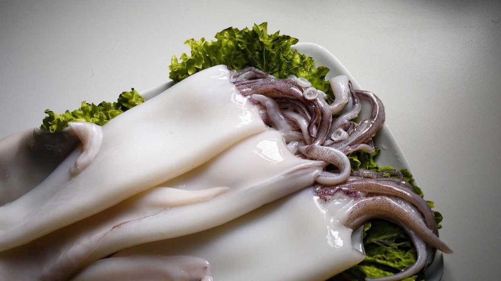 calamari gommosi