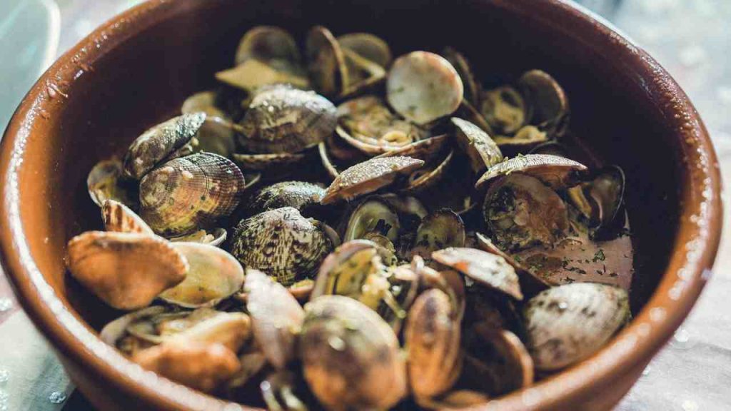 gusci delle vongole