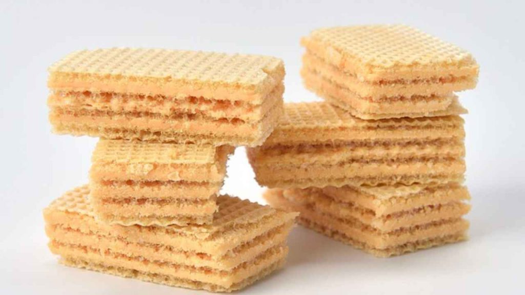 wafer