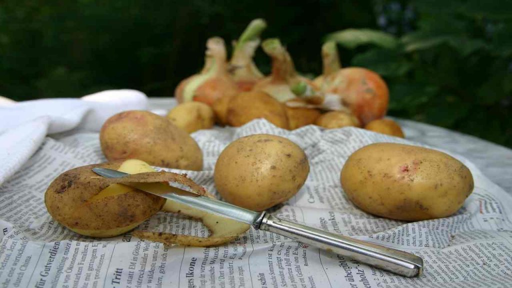 bucce delle patate rimedio