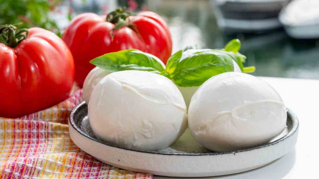 mozzarella