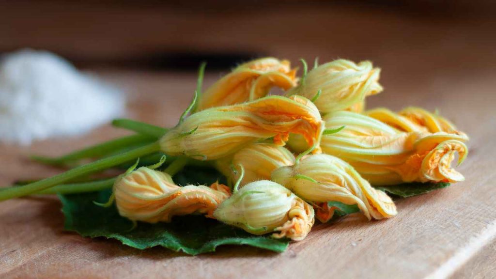 frittelle fiori di zucca