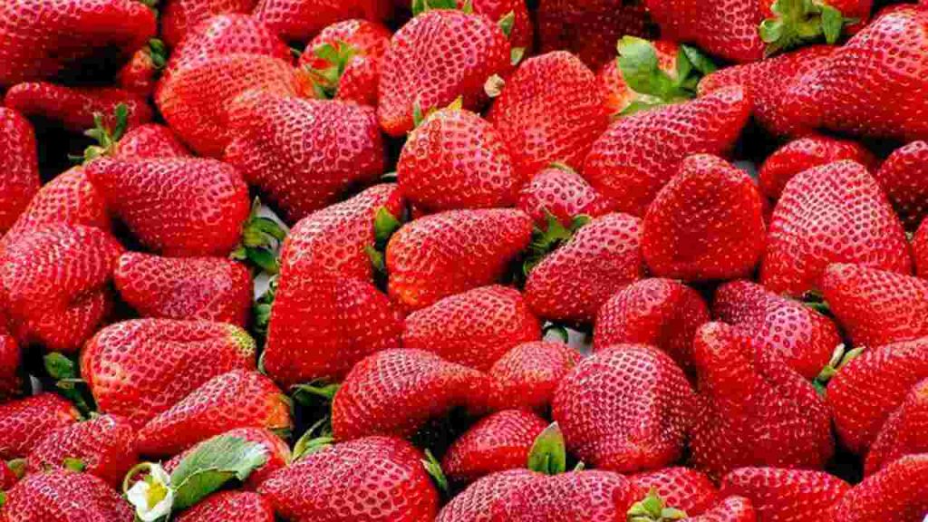 fragole