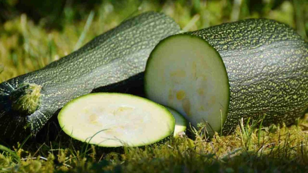 zucchine