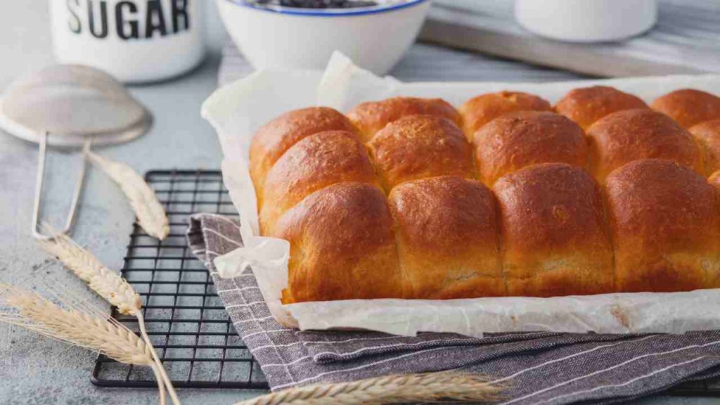 brioche