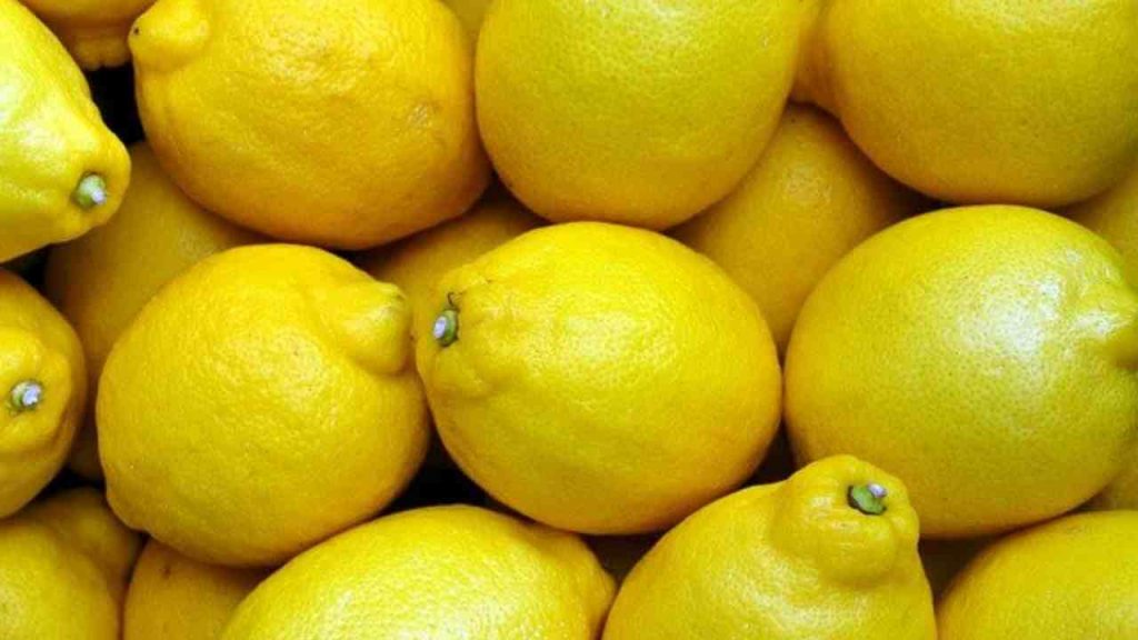 Limoni maturi