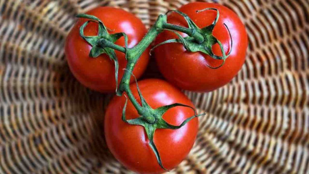 pomodori congelare