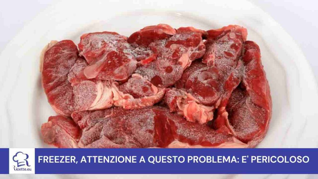 freezer cibo