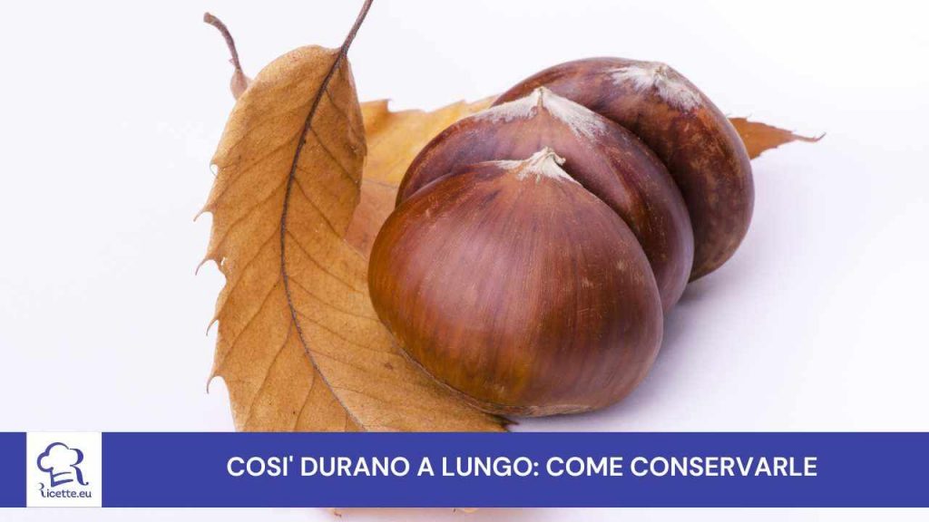 castagne conservare