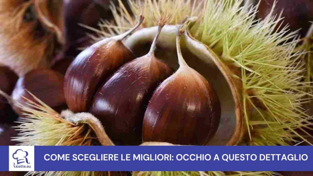 castagne scegliere