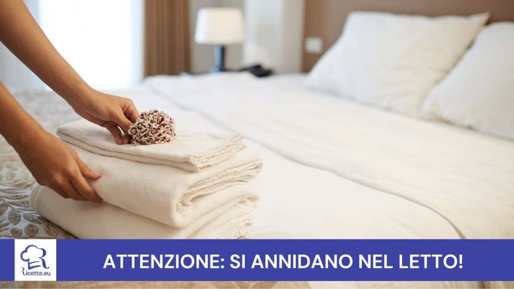 Insetti nel letto